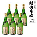 【ふるさと納税】純米大吟醸 稲田重造 720ml×6本セット アルコール度数15度以上16度未満 お酒 日本酒 大吟醸 翁酒造 送料無料