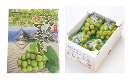 736.【先行予約】【ＪＡ】　シャインマスカット　赤秀2kg箱（3～5房入）　※着日指定不可　※離島への配送不可　※2025年9月初旬頃～9月中旬頃に順次発送予定