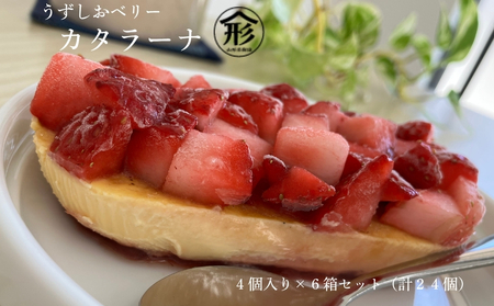 うずしおベリー カタラーナ 贅沢６箱セット（計２４個） いちごスイーツ 苺 フルーツガーデンやまがた　スイーツ　お菓子　ギフト　敬老の日　お歳暮　冷凍　洋菓子　いちご　