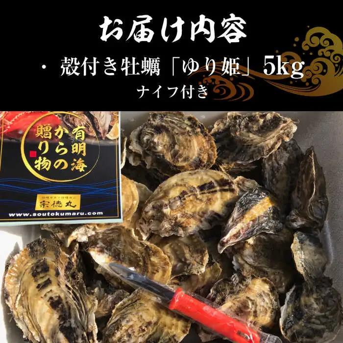 【2027年1月以降発送】竹崎産 ブランド生牡蠣「ゆり姫」5kg（ナイフ付き） / 牡蠣 / 佐賀県 / 宗徳丸 [41ATAF004]