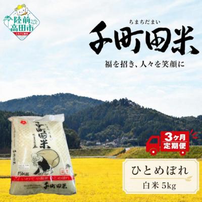 ふるさと納税 陸前高田市 先行受付 【3ヶ月定期便】 令和8年産 ひとめぼれ 白米 5kg 千町田米 布袋様 米 お米 ライス