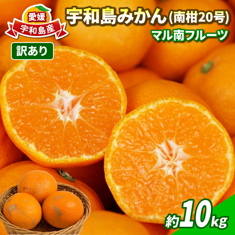 【ふるさと納税】 蜜柑 わけあり みかん 南柑20号 約10kg マル南フルーツ 先行予約 訳あり 訳アリ 訳あり品 温州 温州みかん うんしゅう ミカン 温州蜜柑 愛媛みかん 愛媛ミカン mikan 果物 くだもの フルーツ 柑橘 南柑 産地直送 数量限定 国産 愛媛 宇和島 B010-106018