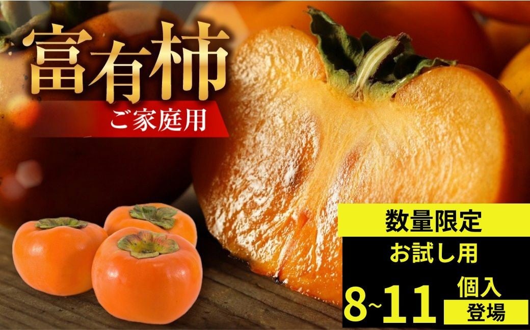 
                  【先行予約】《 訳あり 》 富有柿 ご家庭用 お試し8個入 S-Mサイズ 福井農園 [11月～12月に発送予定]  ｜富有柿 ふゆうがき かき フルーツ 柿 かき 規格外 わけあり 不揃い ふぞろい ご自宅用 果物 くだもの フルーツ 本巣市 
                