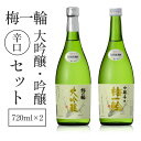 【ふるさと納税】梅一輪　大吟醸・吟醸辛口セット ／ お酒 酒 日本酒 地酒 送料無料 千葉県 山武市 SMC003