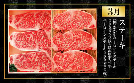 【年4回定期便】くまもと肉の極み定期便③ 食べ比べ あか牛 赤牛 くまもとあか牛 黒毛和牛 和牛 定期便 熊本県産 肉 お肉 牛肉 牛 国産