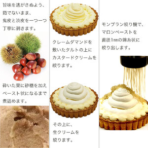 モンブラン タルト 和栗 4号 冷凍 ケーキ モンブラン