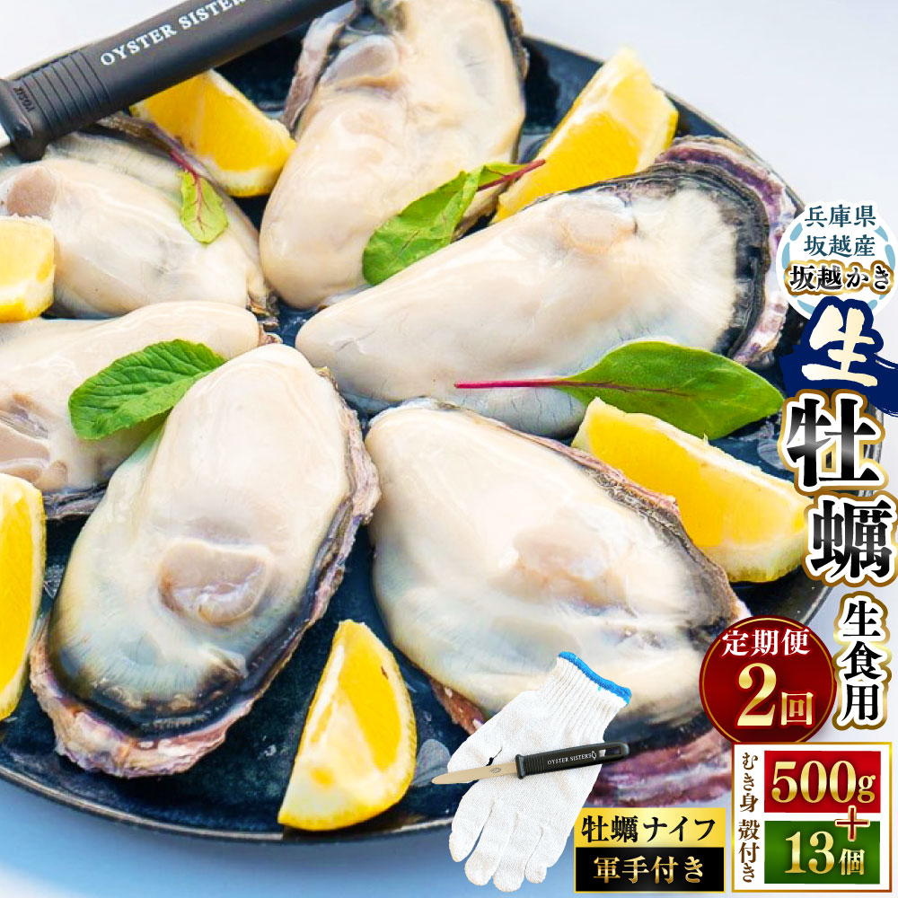 【ふるさと納税】＜2回定期便＞ 定期便 坂越かき むき身 約500g×1パック 殻付き 13個（牡蠣ナイフ・軍手付き） ／ 牡蠣 かき カキ オイスター 剥き身 殻付 兵庫県 赤穂市 冷蔵 送料無料【2027年1月上旬-2027年3月下旬発送予定】