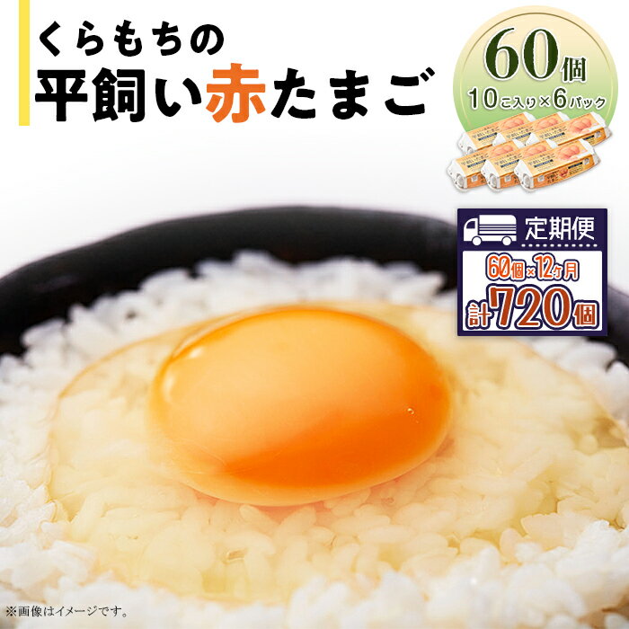 【ふるさと納税】くらもちの農場から平飼いたまご 赤玉子 新鮮 赤玉 定期便 高級 平飼い 健康 飼育 国産 鶏 鳥 鶏卵 卵 たまご タマゴ お菓子 朝食 生卵 卵かけごはん 460 たまご 60個 6パック 定期便 12カ月 計720個 小分け 新鮮 赤 玉子 卵 タマゴ くらもちの農場 平飼い