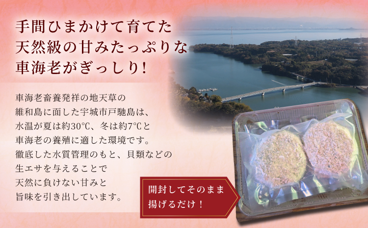 ぎっしり車海老カツ（2個入×3パック）海老 えび エビ 車海老 海老カツ エビカツ えびかつ 惣菜 おかず 揚げ物 フライ 冷凍惣菜 冷凍食品 ぎっしり たっぷり 解凍不要 簡単調理 時短 お弁当 夕