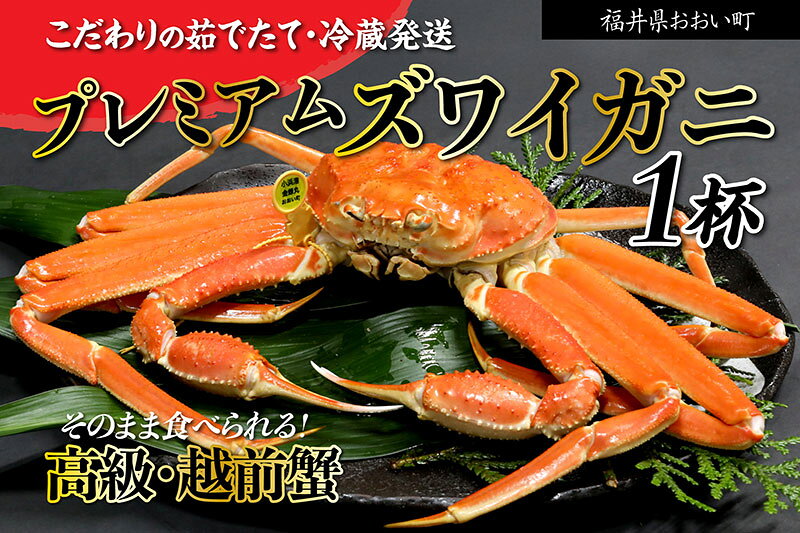 【ふるさと納税】越前ガニ 極みブランド 極上品 1.5kg　お届け：2026年11月15日～2027年2月28日まで