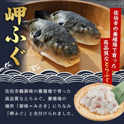 ふるさと納税 佐伯市 豊後水道 とらふぐ 切り身 (計1.2kg) |  | 02