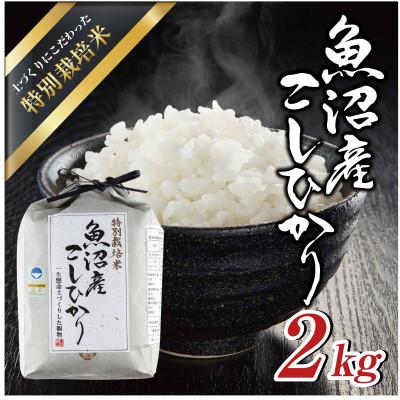 ふるさと納税 十日町市 【令和7年産】魚沼産コシヒカリ 特別栽培米 「魚沼三昧(R)」2kg×1袋 新潟県 十日町市
