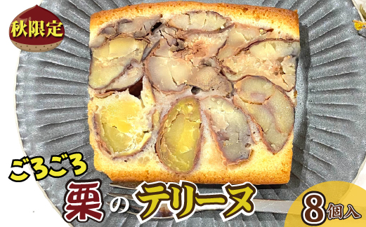 【先行受付】ごろごろ須木栗の贅沢テリーヌ 8個（栗 お菓子 人気 スイーツ ギフト 贈答用 数量限定 送料無料）