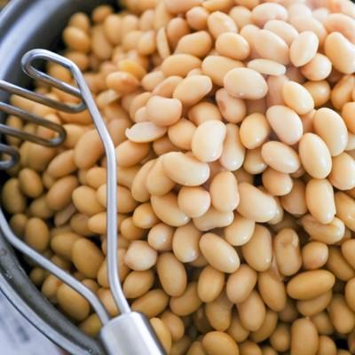 ふるさと納税 美浦村 味噌作りキット(完成味噌約5kg) |  | 02