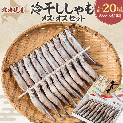 ふるさと納税 むかわ町 【2025年2月中旬発送】【北海道産】冷干ししゃも　メス・オス各10尾セット | 