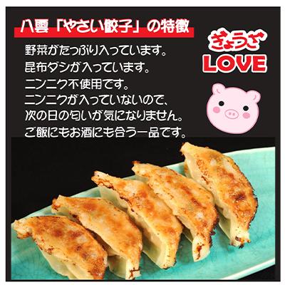 ふるさと納税 八雲町 お酒によく合う　八雲やさい餃子+スパイシーカレー餃子(各10個入×2箱) |  | 01