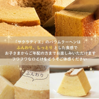 カット バウムクーヘン「プレーン」16個 ( 個包装 小分け)【配送不可地域：離島】【1747326】