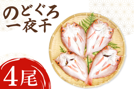 ノドグロ一夜干４尾セット【のどぐろ一夜干し のどぐろ 干物 4尾 1尾あたり120～140g 島根県産 大田市産 魚介類 魚 ノドグロ のど黒 高級魚 干物 真空パック 冷凍】