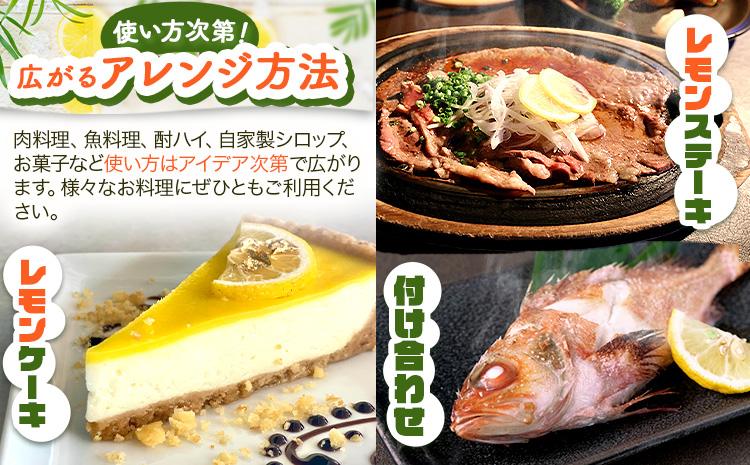 【先行予約】【秀品】紀州 有田産 レモン 約2.5kg 魚鶴商店《3月上旬-3月中旬頃出荷》和歌山県 日高町 柑橘 れもん 檸檬