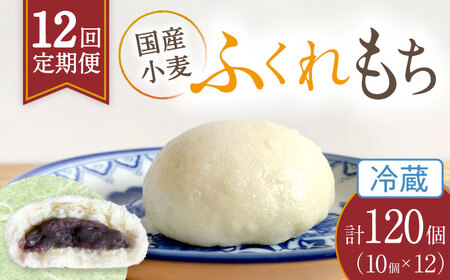 【12回定期便】 国産 小麦の ふくれもち （ 冷蔵 ）   計120個　多治見市/ひとてま屋 ベーグル ふくれもち ふくれ やさしい甘さ あんこ 餡 小豆 あずき 多治見市 岐阜 国産 ギフト プレゼント 贈答 贈り物 送料無料  [TDS004]