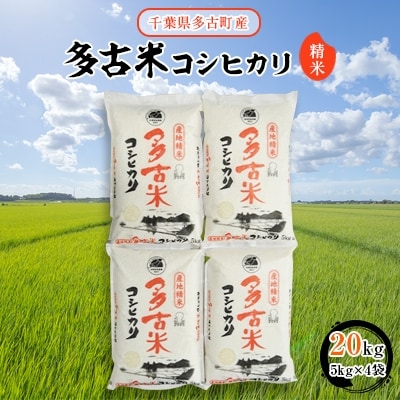 【令和7年産】多古米コシヒカリ　精米20kg(5kg×4袋)【配送不可地域：離島・沖縄県】
