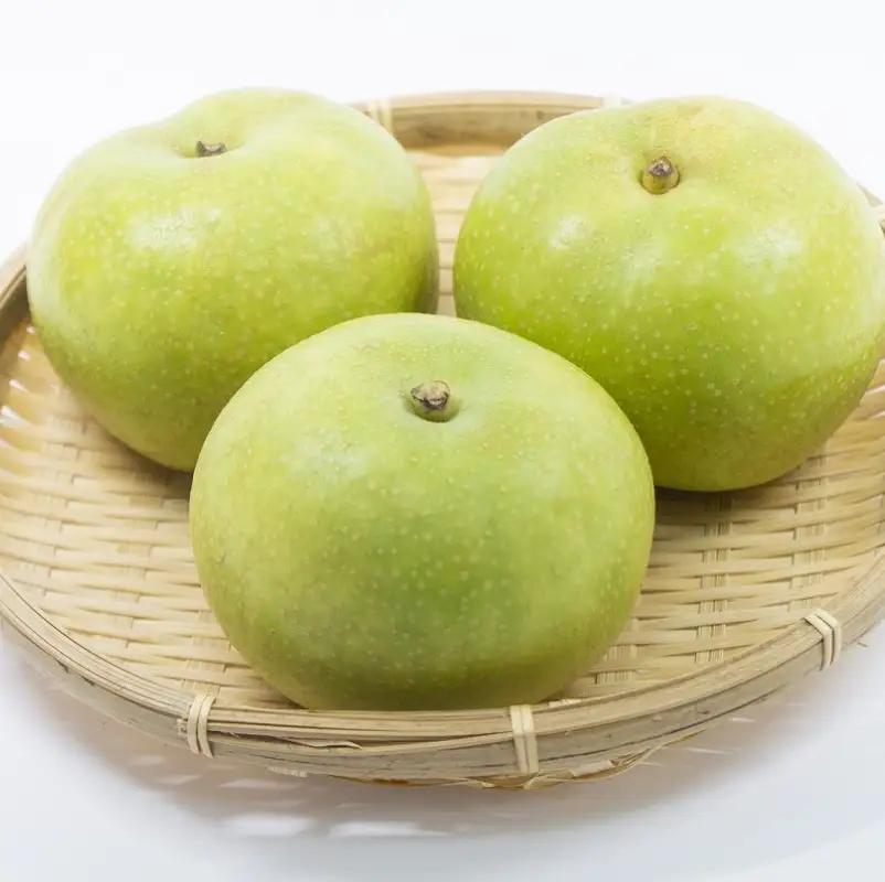 梨 【数量限定】京都丹後産 二十世紀梨 5kg（2026年9月上旬～発送） 梨 梨 梨 梨 梨