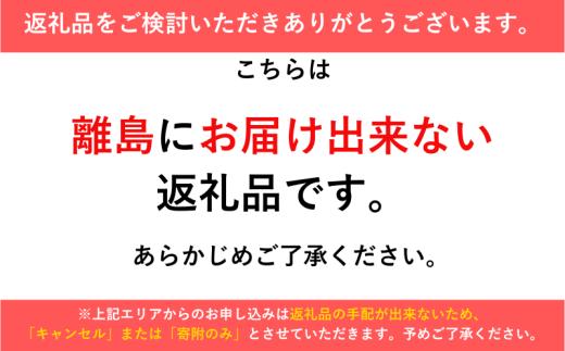 パイゼル サーフボード オーダーチケット 15,000円分 サーフィン 海 波 マリンスポーツ 波乗り オーダー チケット Ticket 江の島 江ノ島 PYZEL SURFBOARDS JAPAN 