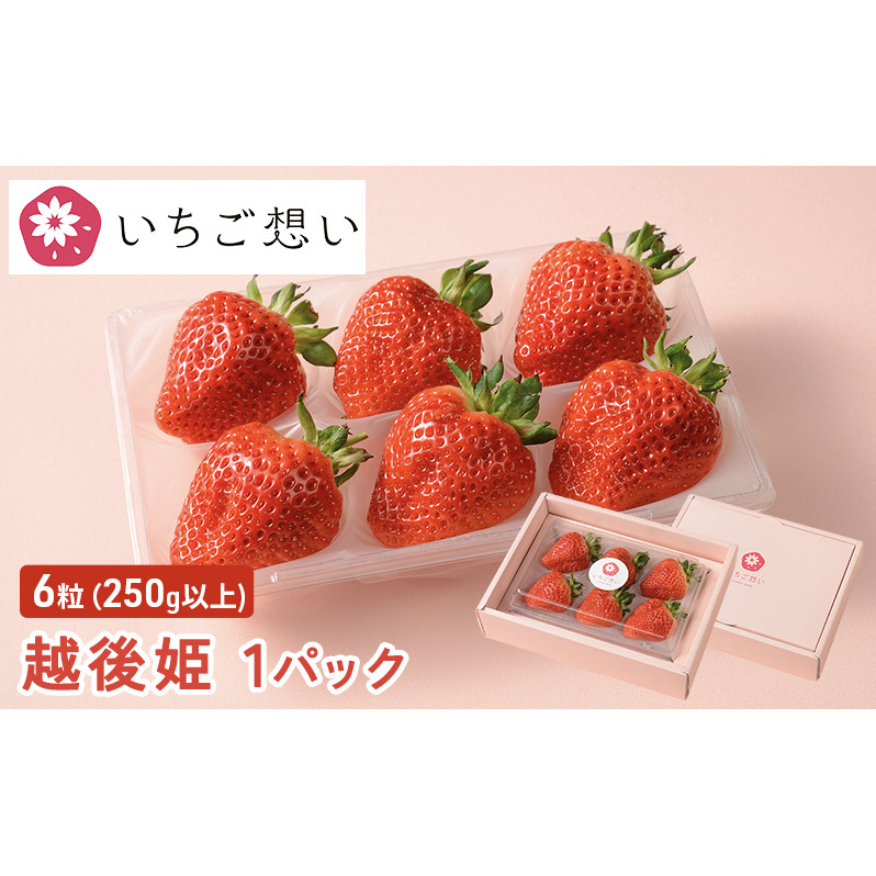 きっと想いが伝わるいちご　越後姫 1パック 果物 フルーツ 食後 デザート 旬の果物 旬のフルーツ ストロベリー 国産 日本産 