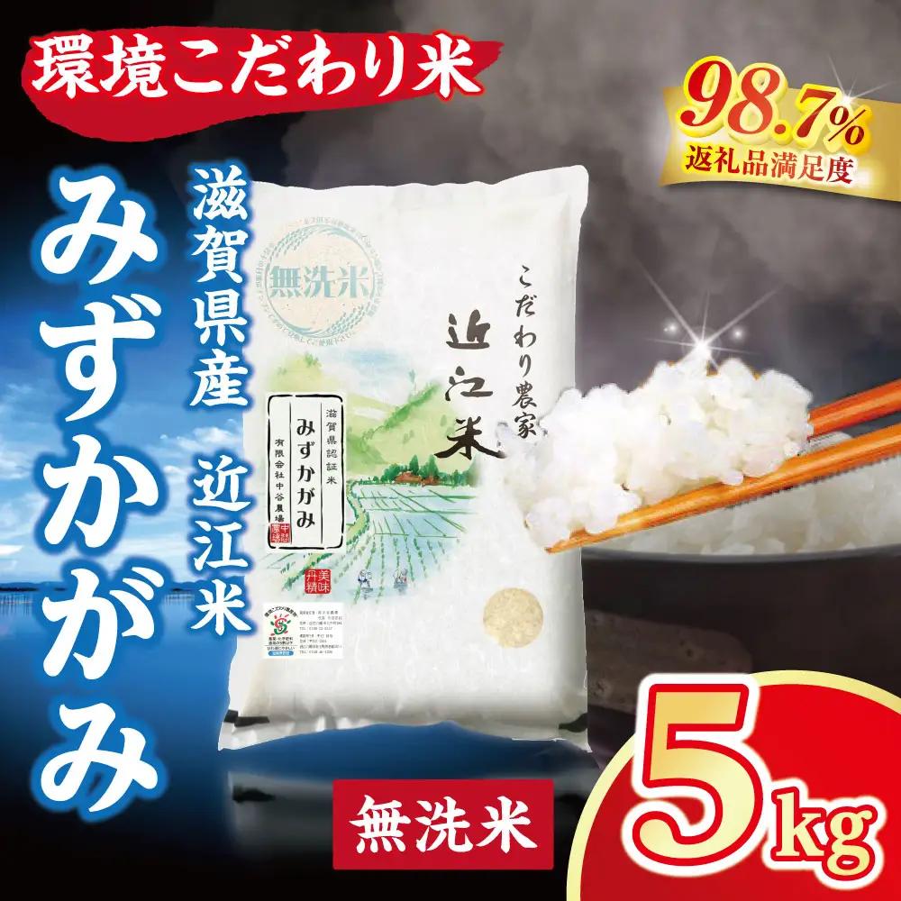 【7年産】 近江米 みずかがみ 無洗米 5kg 【BN15W】 近江米 環境こだわり米 滋賀県産 無洗米
