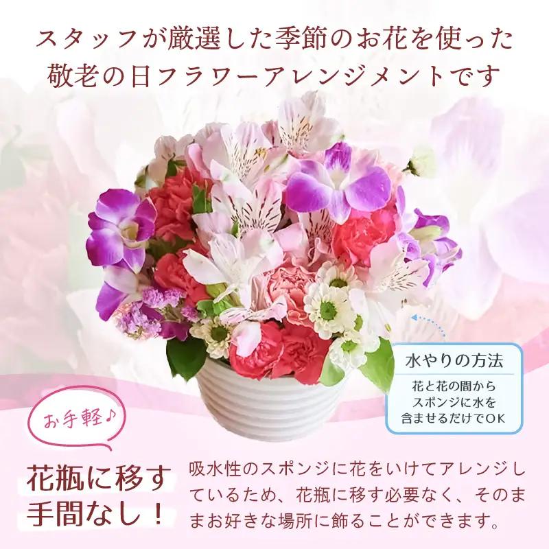 【 敬老の日限定 】 敬老の日ギフト そのまま飾れる フラワーアレンジメント 生花 感謝メッセージカード付・越前和紙 小花一輪付【ギフト  シルバー 花瓶いらず 水替え無  花】 [e51-a011]