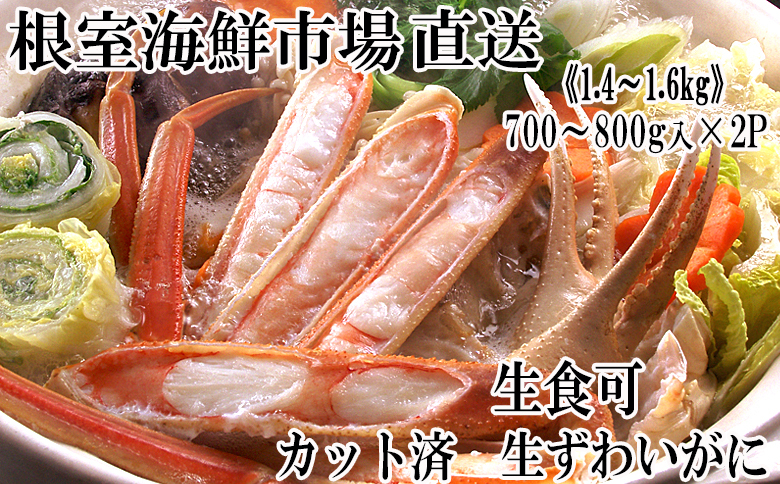 根室海鮮市場＜直送＞生食可！カット済み生ずわいがに700～800g×2P(計1.4～1.6kg) B-28088