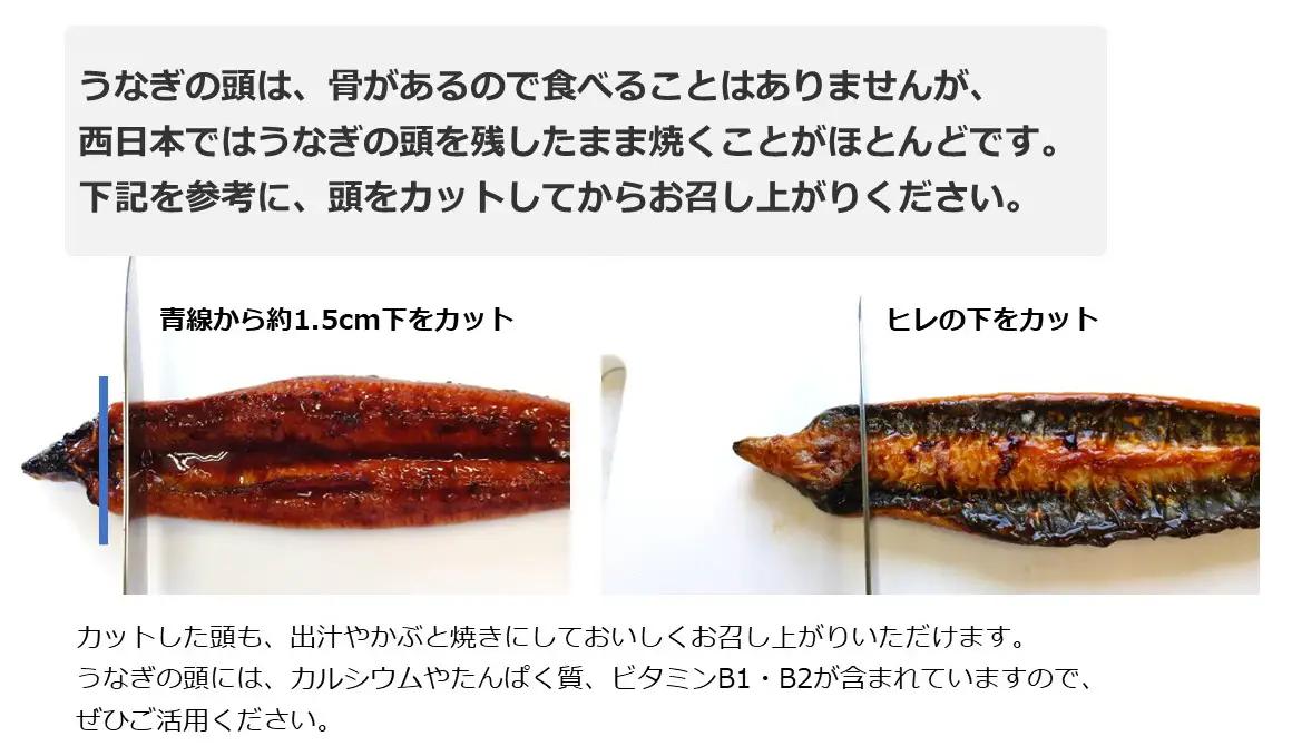 うなぎ 鹿児島県産 うなぎ 蒲焼 5尾 約700g IB020-002