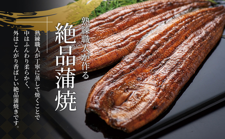 うなぎ 国産 蒲焼き 6尾 計660g 浜名湖産 小分け 冷凍 うなぎ