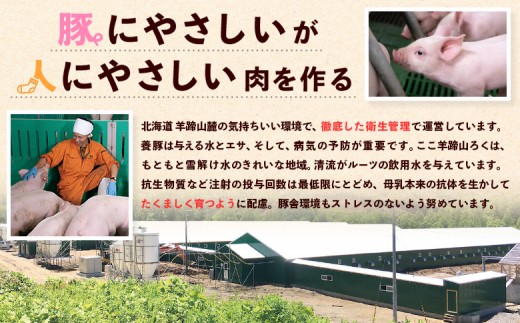 留寿都産　ルスツ羊蹄ぶた　『徳用』豚串と豚ジンギスカンのＢＢＱセット（豚バラ串・豚つくね串・豚ジンギスカン【約2.8kg】）