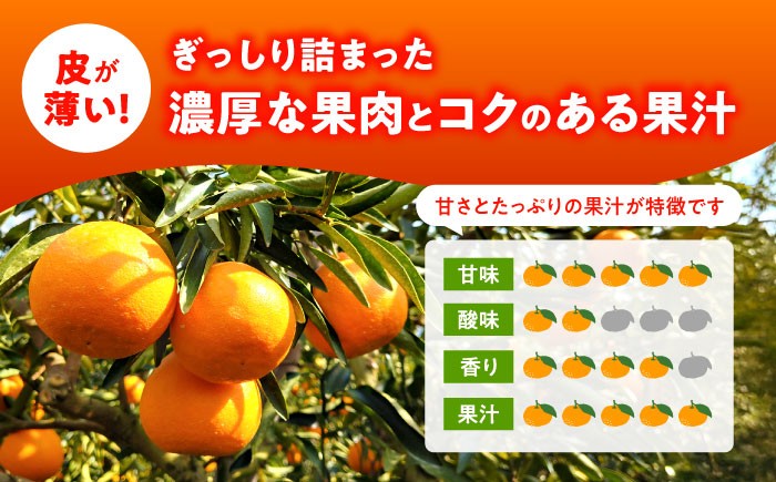 せとか みかん 約2.5kg 果物 化粧箱入り フルーツ ミカン 蜜柑 柑橘 かんきつ くだもの 旬 ギフト
