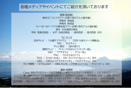 長すぎるエクレア　30ｃｍ×４本　【店頭売上No.1大人気スイーツ】_B145-001