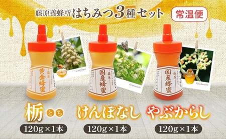 藤原黄金蜂蜜 3種セット 栃 けんぽなし やぶからし 各120g 計360g はちみつ とち 国産 単花蜜 朝しぼり 完熟 ハチミツ パン 菓子 トースト ホットケーキ ヨーグルト 調味料 お取り寄せ