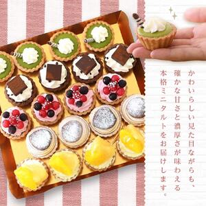 ＜一口サイズの見た目も可愛いみにたると♪＞ミニタルト 厳選5種 20個入 フレッシュタルトのお店 STYLE 岡山にあるタルト専門店 | タルト ミニタルト 人気タルト おすすめタルト フルーツタルト