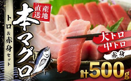 本場南紀から産地直送！ 本マグロ トロ+赤身セット 500g | 大トロ 中トロ 鮪 刺身 寿司