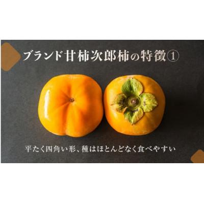 ふるさと納税 豊橋市 豊橋石巻産次郎柿(ご自宅用不揃い)10kg(30〜50玉) |  | 01