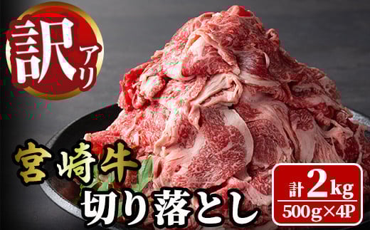 
            ＜訳あり＞宮崎牛 切り落とし(計2kg・500g×4P) 牛肉 肉 ブランド牛  冷凍 国産 精肉 お取り寄せ 黒毛和牛 宮崎県 【LJ006】【ローカルブランディング株式会社】
          