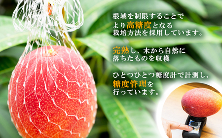 【先行予約】訳あり　ご家庭用完熟マンゴー1㎏(2～3玉)　長友農園＜1-257＞