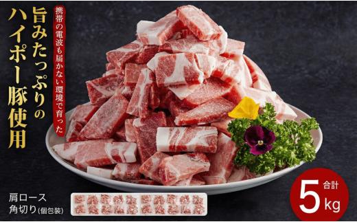 【小分け】豚肉 肩ロース角切り 250g×20パック ハイポー豚 阿武町産 国産豚 冷凍 詰め合わせセット 便利