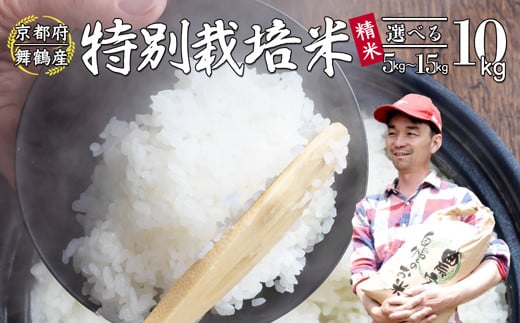 棚田米 10kg 精米 特別栽培米 7割削減 令和6年産 精米 京都 舞鶴 農家直送 コシヒカリ こしひかり 減農薬 低農薬 白米 お米 ご飯 米 棚田