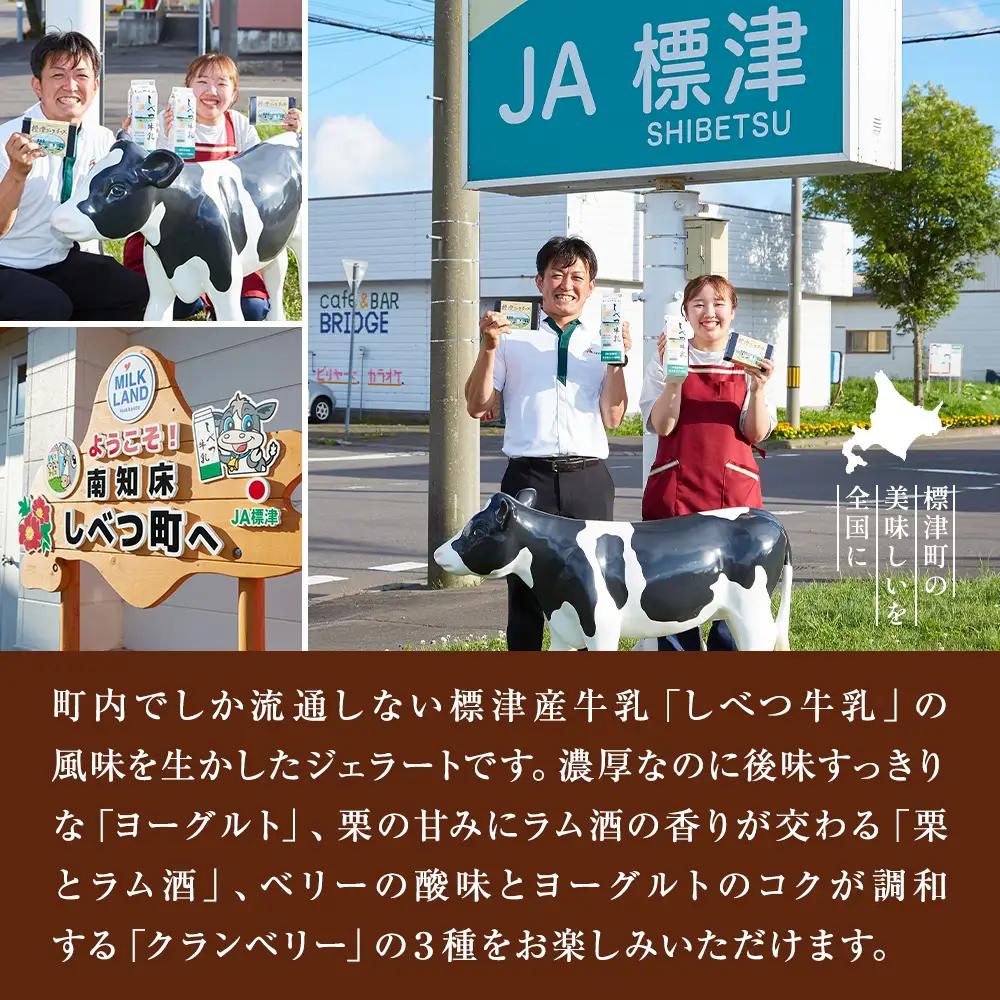 しべつ牛乳ジェラート 3種12個セット ジェラート【配送不可地域：離島】【AE016】