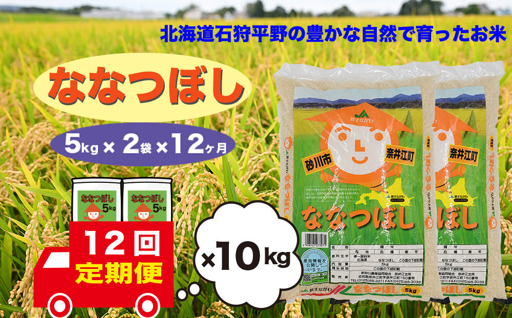 【定期便12回】北海道奈井江町　ななつぼし　10kg