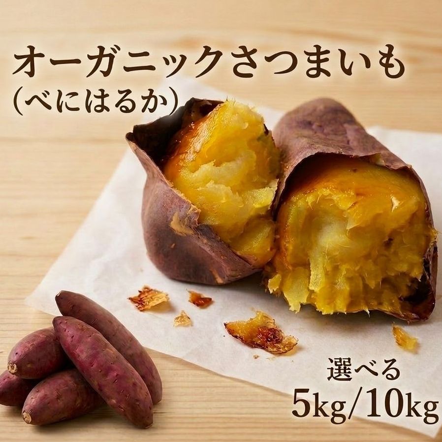 【ふるさと納税】〈 先行予約 〉 オーガニック さつまいも べにはるか 【 量 選べる 】 5kg - 10kg サツマイモ いも イモ 芋 有機栽培 有機野菜 農薬不使用 化学肥料不使用 焼き芋 大学芋 北海道 安平町 安平