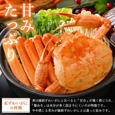 ふるさと納税 越前町 ≪浜茹で≫越前産 紅ずわいがに × 2杯【3月発送分】 |  | 02