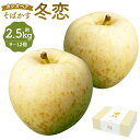 【ふるさと納税】二戸産 カシオペアそばかす冬恋はるか 約2.5kg 9個～12個 糖度15度以上 蜜入り保証品 訳あり ご家庭用 りんご リンゴ 林檎 フルーツ 果物 岩手県産 二戸市産 年内発送 送料無料【2024年12月上旬～下旬に順次発送予定】