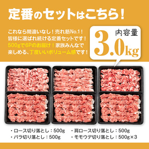 ＜2026年2月中に発送予定＞鹿児島県曽於市産 曽於ポーク切り落とし 合計3.0kg(ロース／バラ／肩ロース／モモウデ切り落とし) 国産 豚肉 切り落とし【Rana】A413-02-v02